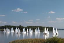 NADLEŚNICTWO SUSZ ZAPRASZA!