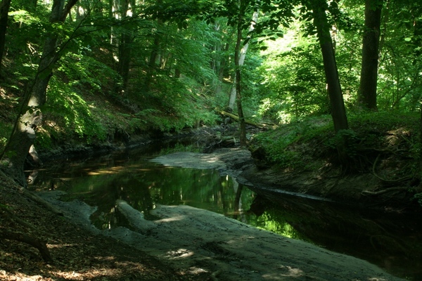 fot. Stanisław Blonkowski