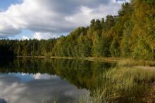 Zakończenie KONSULTACJI SPOŁECZNych W SPRAWIE LASÓW HCV ORAZ OBSZARÓW REFERENCYJNYCH NA TERENIE NADLEŚNICTWA SUSZ