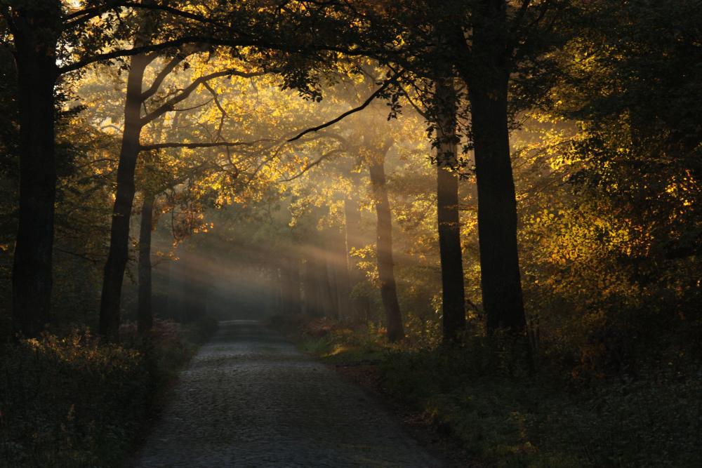 fot. Stanisław Blonkowski