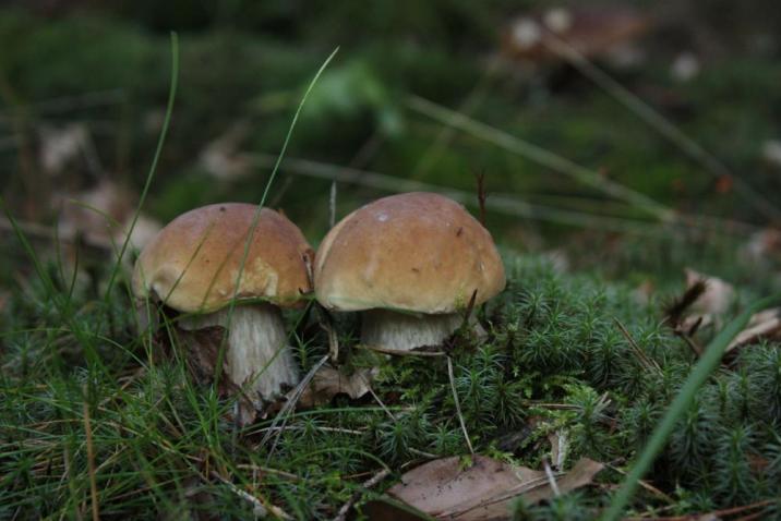 fot. Stanisław Blonkowski