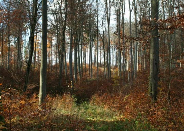 fot. Stanisław Blonkowski