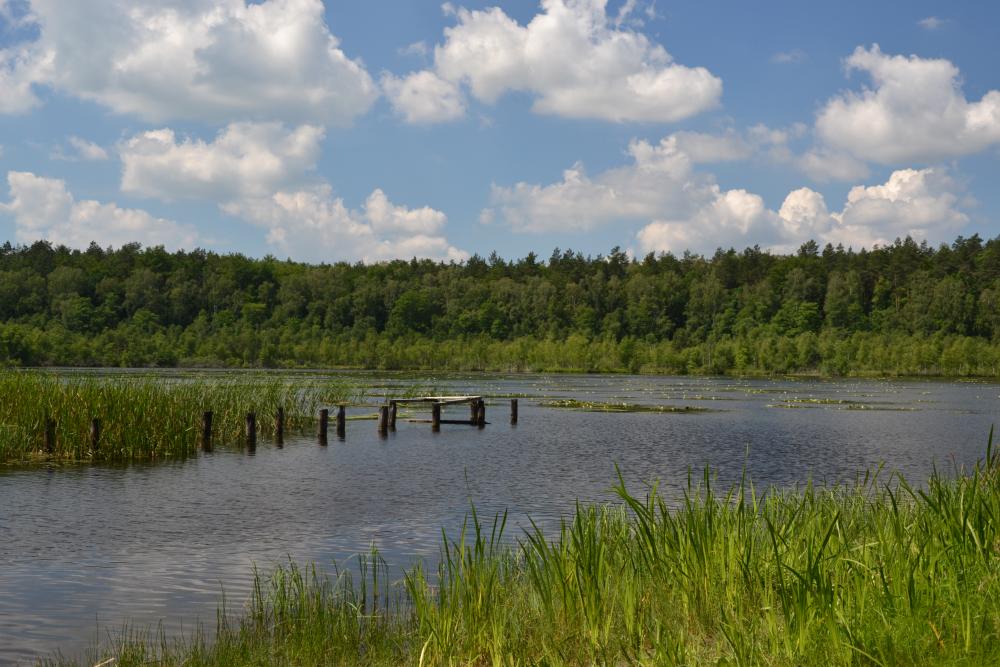 fot. Kamila Makowska