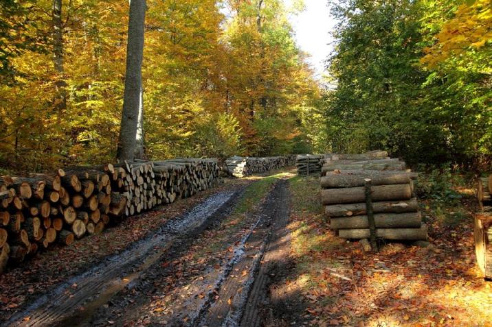 fot. Stanisław Blonkowski