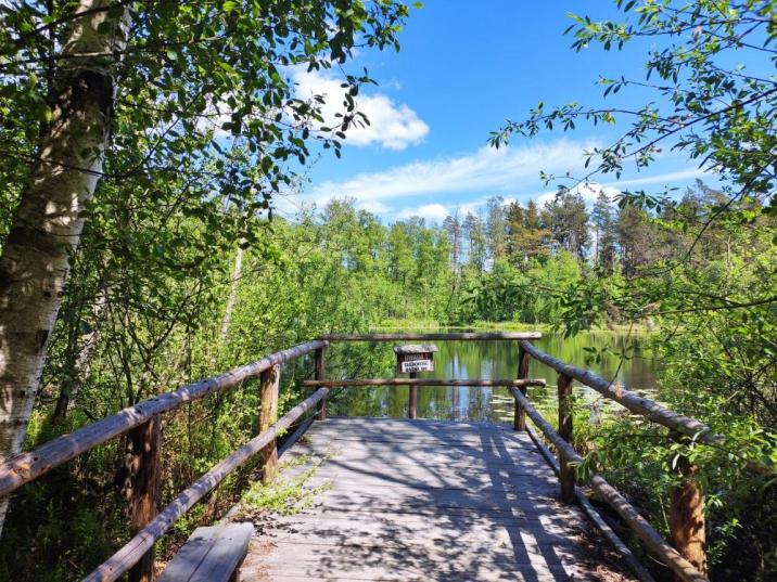 fot. Kamila Makowska