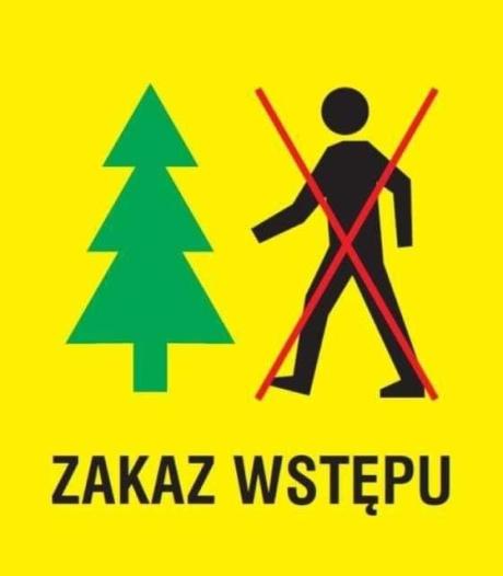Opryski ochronne w lasach Nadleśnictwa Susz.